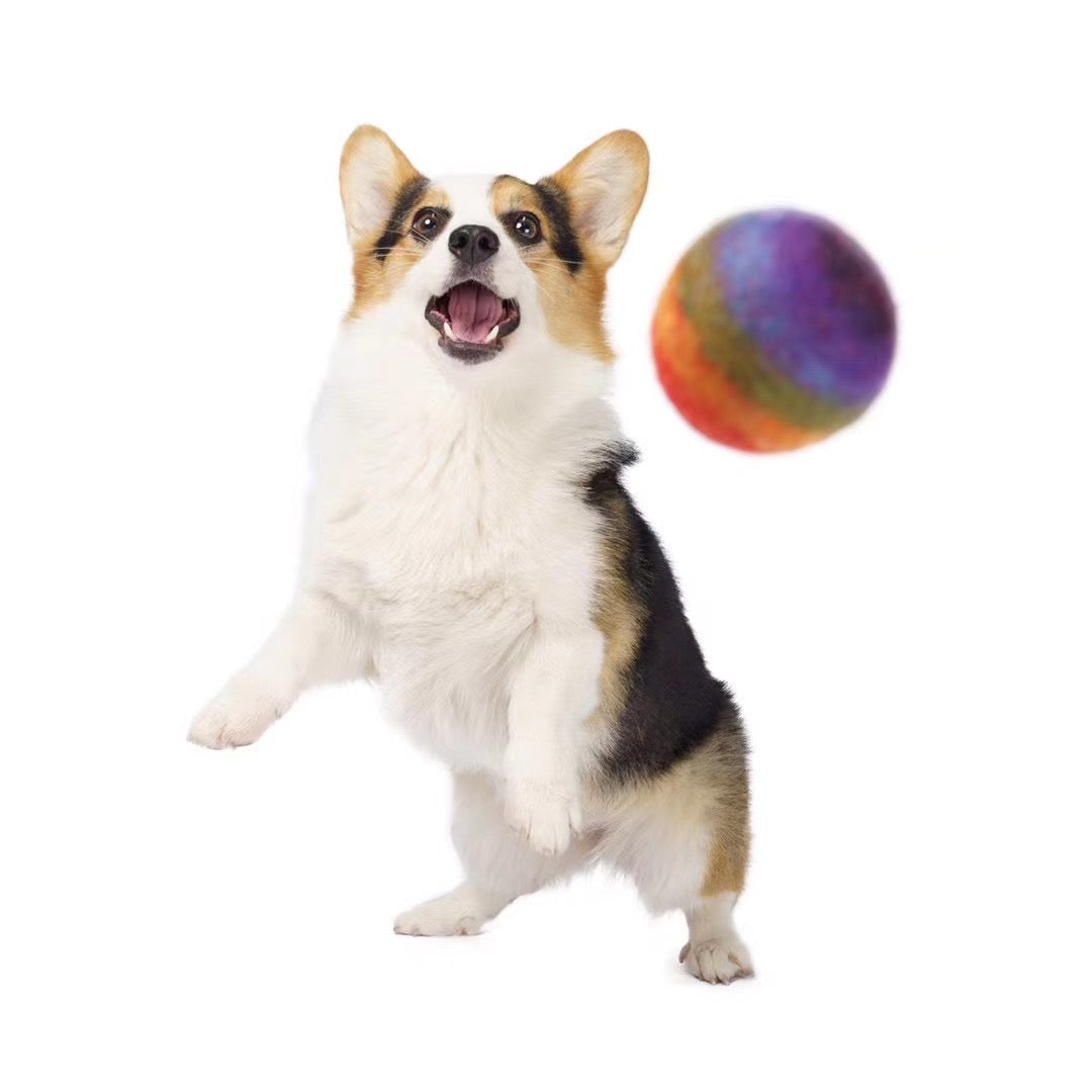 Hunde- und Katzenspielzeug - Filzball