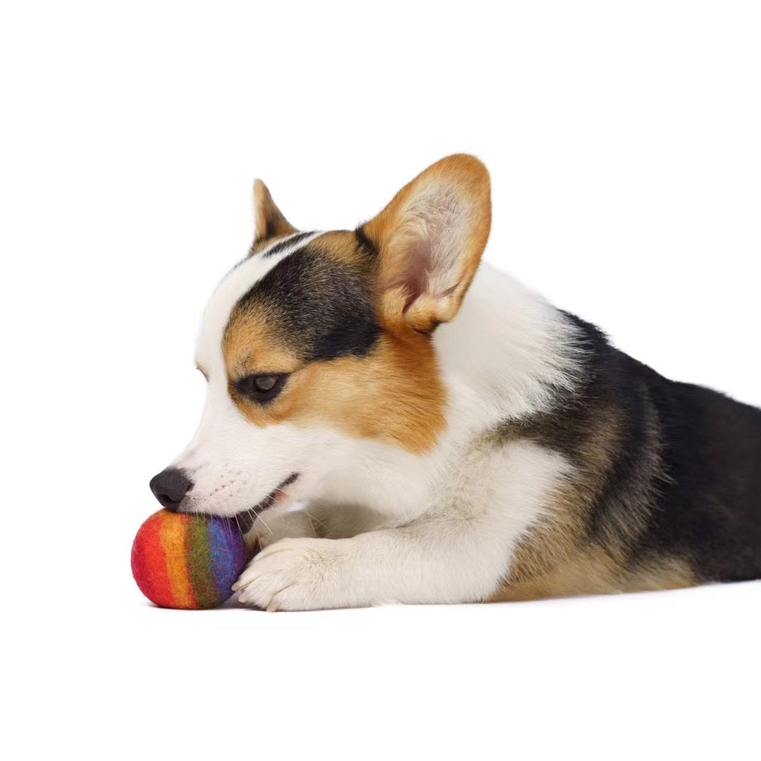 Hunde- und Katzenspielzeug - Filzball